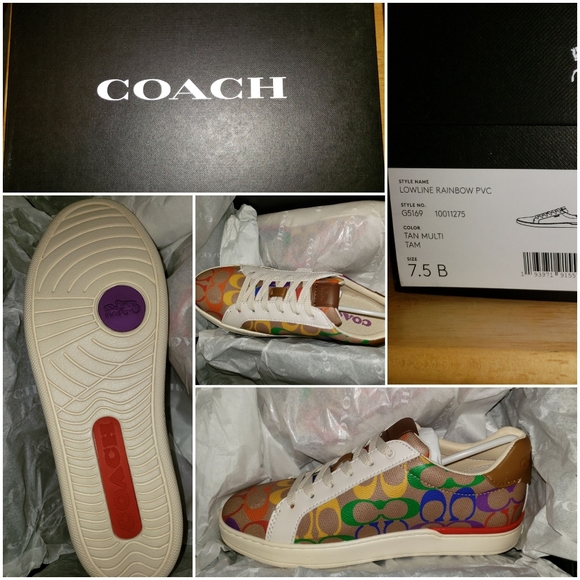 coach lowline low top sneaker in rainbow signature canvas